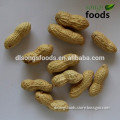 High Quality New Crop Ground Nuts